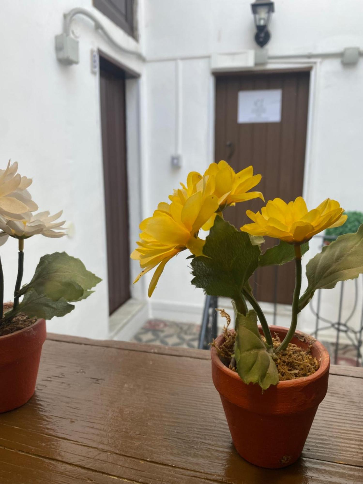 Apartament Florhouse Pacini Katania Zewnętrze zdjęcie
